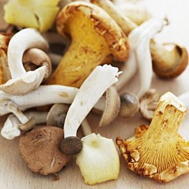 Fresh Mushroom Mix